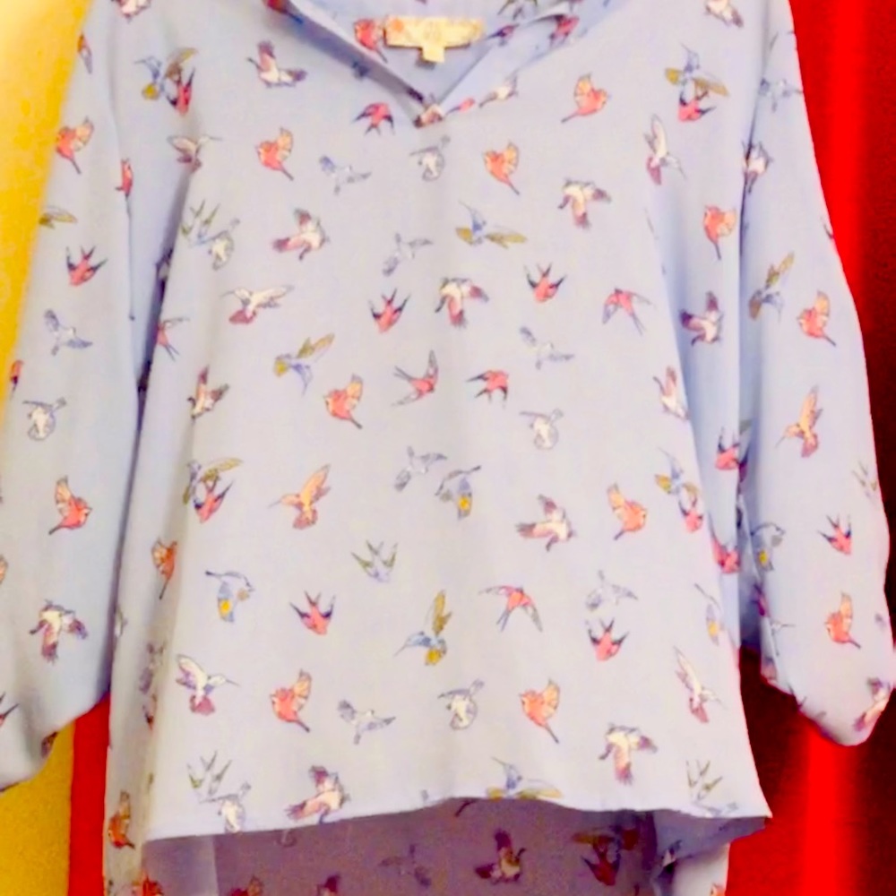 Light blue shirt with bird print. Gently used and causal.